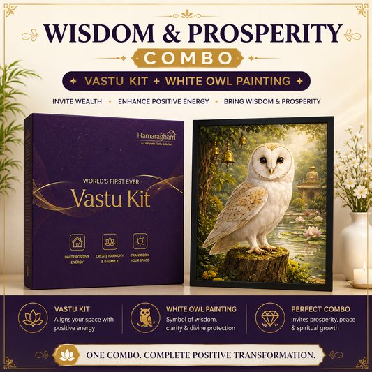 Bundle — Vastu Kit + White Owl Painting